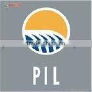 PIL FCL sea shipping to APAPA