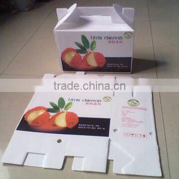 Nice design fresh fruit corrugated box packaging