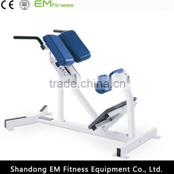life fitness equipment Roman chair back extension