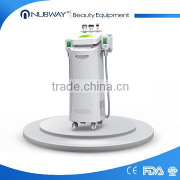 NEWS! Sales Promotion professtional 2 hand pieces Cryolipolysis vertical fat removing cryolipolysis system