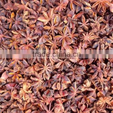 VIETNAMESE SUPPLIER OF BEST QUALITY AUTUMN STAR ANISEED