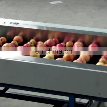 Convenient durable cherry fruit sorting machine cherry fruit grader with best price
