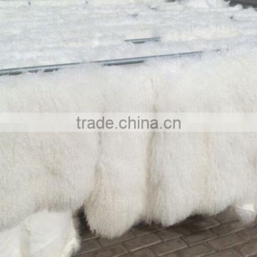 Real curly mongolian lamb blanket