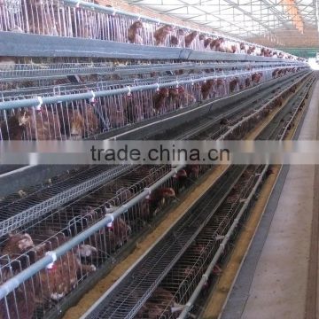 poultry equipment chicken cages