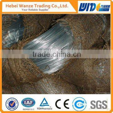 ISO 9001 hot sale galvanized iron wire