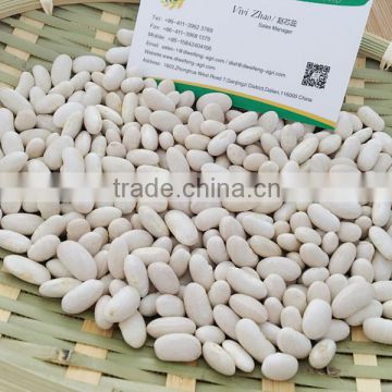 China Spanish White Kidney Beans