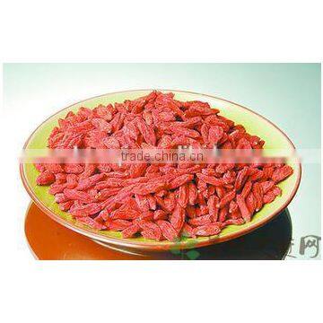 NingXia goji bery/Chinese wolfberry wholesale