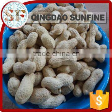 Importers planting peanuts in shell