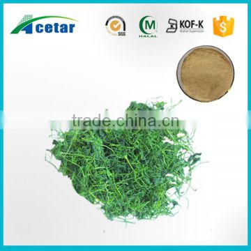 Acetar Trade Assurance of pure natural herbal jiaogulan gynostemma extract