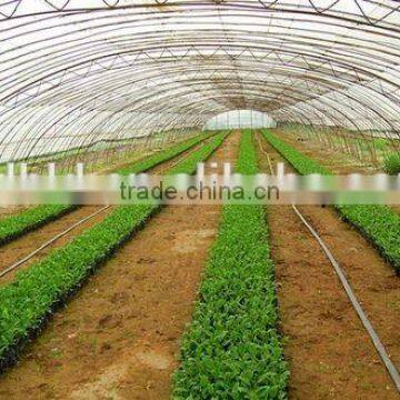 Poly Tunnel Agricultural Greenhouse