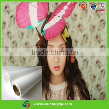 Solvent High Density PP Paper for Poster Advertisement