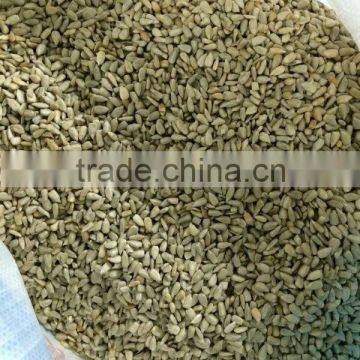 Chinese Snack Raw Sunflower Seed With Rich Nutritional Value