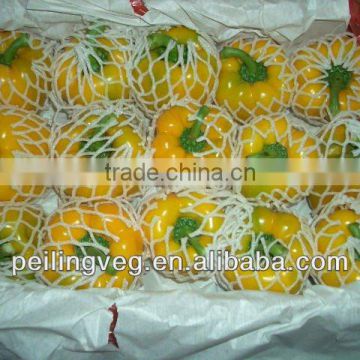 sweet bell pepper from China 2013 new crop