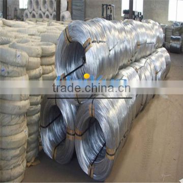 Electro Galvanized Wire (Haiyue Factory)