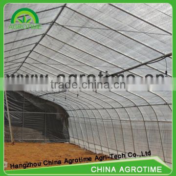 Single tunnel film greenhouse for popular