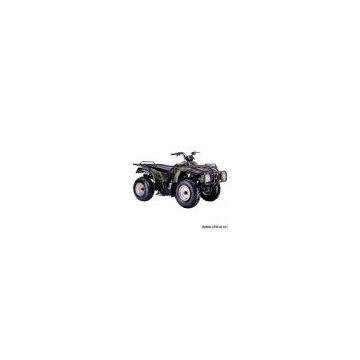Sell 250cc ATV (Quad)