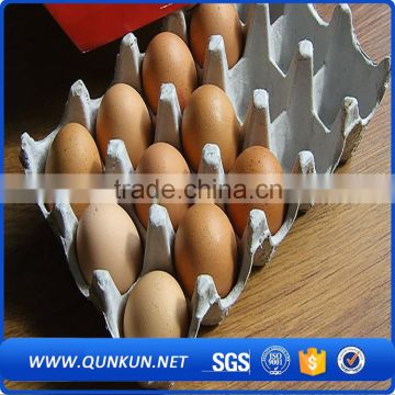 wholesale price plastic packing tray