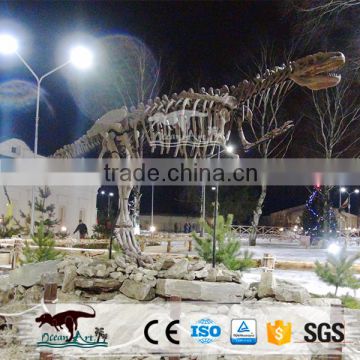 OA-DS-62S5 Exhibition Museum Fiberglass Enormous Dinosaur Fossils