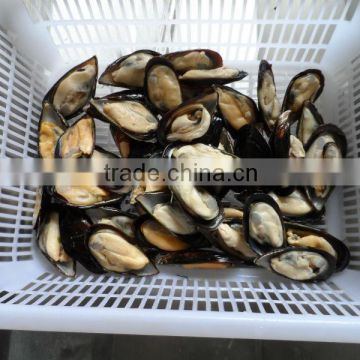 Frozen Cooked Mussel Meat Half-shell