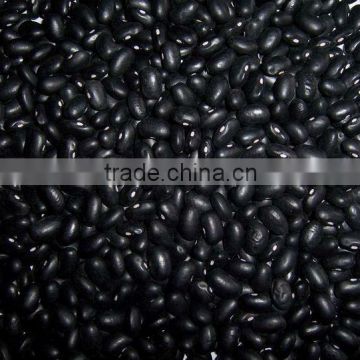 Small Black Bean For Hot Sale