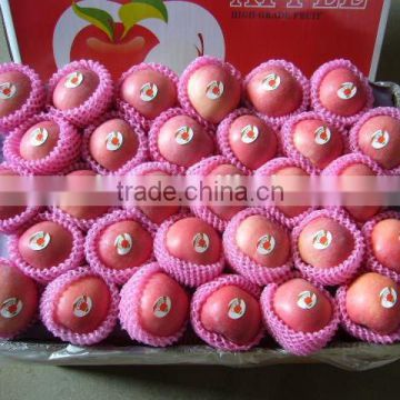 china wholesale fruit prices