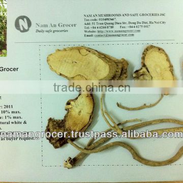 Dried Polyscias Fruiticosa