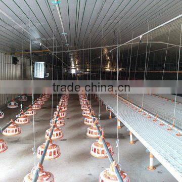 chicken poultry equipment