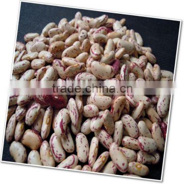 Yian Light Speckled Kidney Beans 2010 crop
