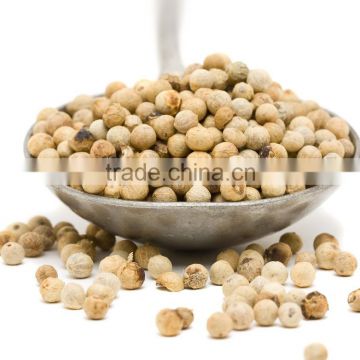 VIETNAM WHITE PEPPER DOUBLE WASHED (skype: hanfimex08)
