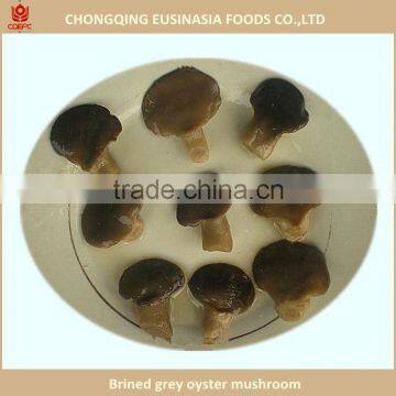 brined fresh oyster mushroom price