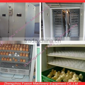 Newly design!! Poultry Egg incubating machine