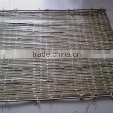 Raffia Israel bamboo mat blind for Jewish holiday