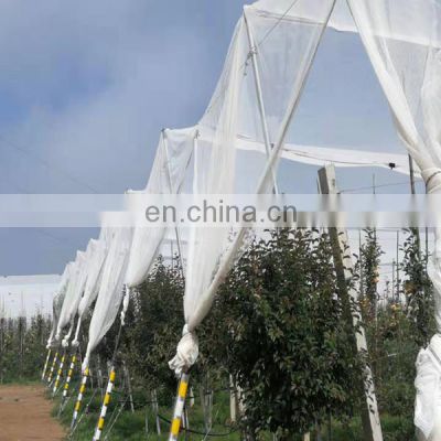 Vineyard Hail Protection Mesh Net HDPE Plastic Anti Hail Net Agricultural
