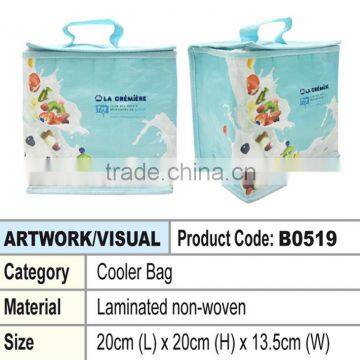 Cooler Bag