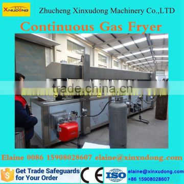 Continuous Gas Fryer With Temperature Control