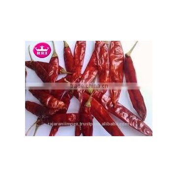 SANNAM/S4 New Crop Dry Hot Red Chilli