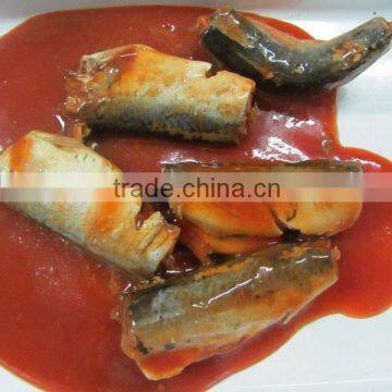 canned mackerel names of fish in tomato sauce