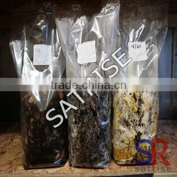 Hot Sale Oyster/Shiitake Mushroom Grow Bag filtration bag For Sale