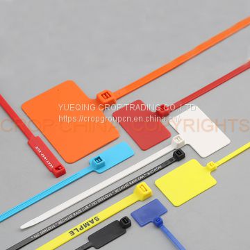 Plastic special marker tag cable tie with labels