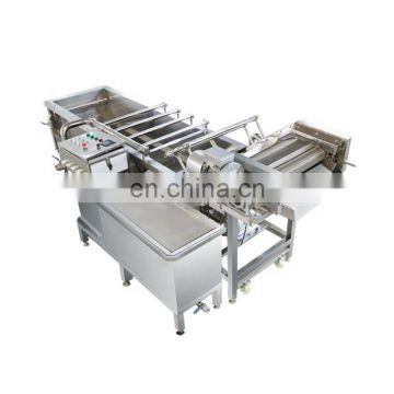Zibo Taibo Air Bubble Vegetable and fruit processing washing machine industrial