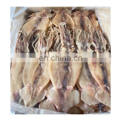 Bulk packing dried squid fish fillet good quality