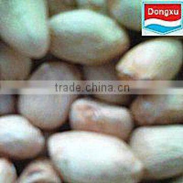 good quality peanut kernels