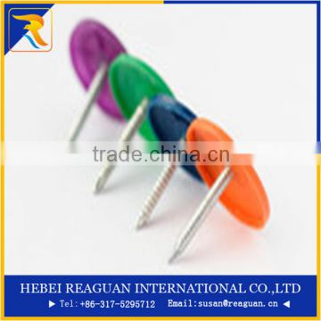 Best selling bright ring shank with square metal cap metal cap nail