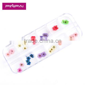 Nail art accessories real dry dried flowers 12 colors in rectangle