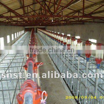 Pig farm Sow Single Crate