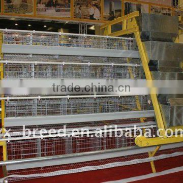 A type Laying Equipment of steel galvanized frame