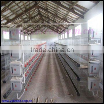 H type battery 4 broiler chicken cage