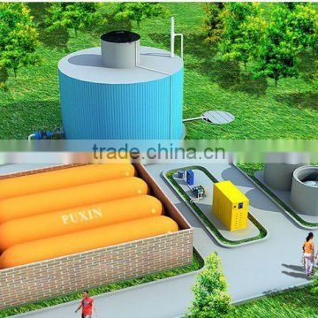 Puxin Medium and large size biogas digester for power