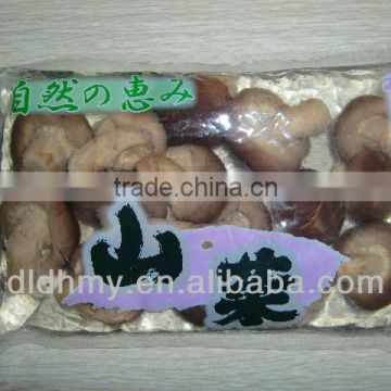 Shiitake boiled in plastic bag