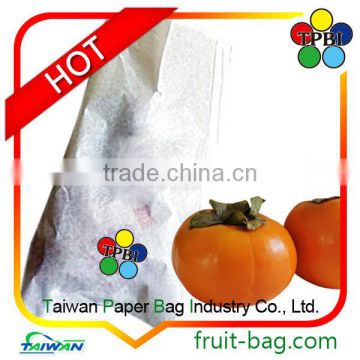 agriculture growing protection bag persimmon packing bag